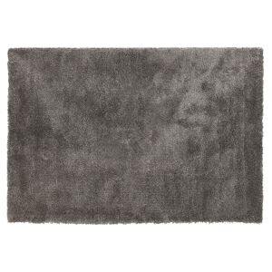 ALTEREGO Tapis de salon shaggy 'TISSO' gris - 240x330 cm