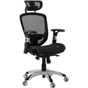 ALTEREGO Fauteuil de bureau ergonomique 