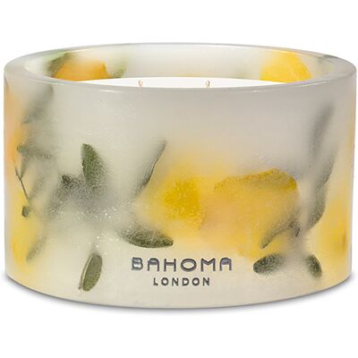 Bahoma - Bougie parfumée Botanica Côte Amalfitaine - 2 mèches 40h OS - Publicité Bahoma - Bougie parfumée Botanica Côte Amalfitaine - 2 mèches 40h OS - Publicité