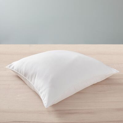 Blanrêve - Oreiller Microfibre Douceur traité anti acarien blanc 60x60 cm - Publicité Blanrêve - Oreiller Microfibre Douceur traité anti acarien blanc 60x60 cm - Publicité