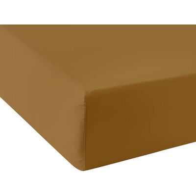 United by PDC - Drap housse en percale de coton bonnet 30 cm bronze 200x200 cm - Publicité United by PDC - Drap housse en percale de coton bonnet 30 cm bronze 200x200 cm - Publicité