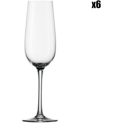 Stölzle - 6 Flûtes à Champagne Weinland transparentes - 20 cl OS - Publicité Stölzle - 6 Flûtes à Champagne Weinland transparentes - 20 cl OS - Publicité