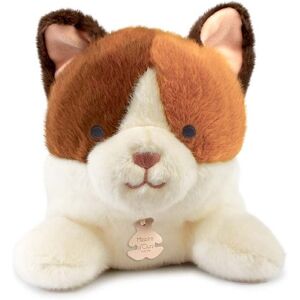 Doudou et Compagnie - Les P'Tits Relax - Chat Blanc et Marron PM 22 cm OS - Publicité Doudou et Compagnie - Les P'Tits Relax - Chat Blanc et Marron PM 22 cm OS - Publicité