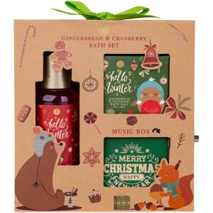 Accentra Hello Winter coffret cadeau + music box