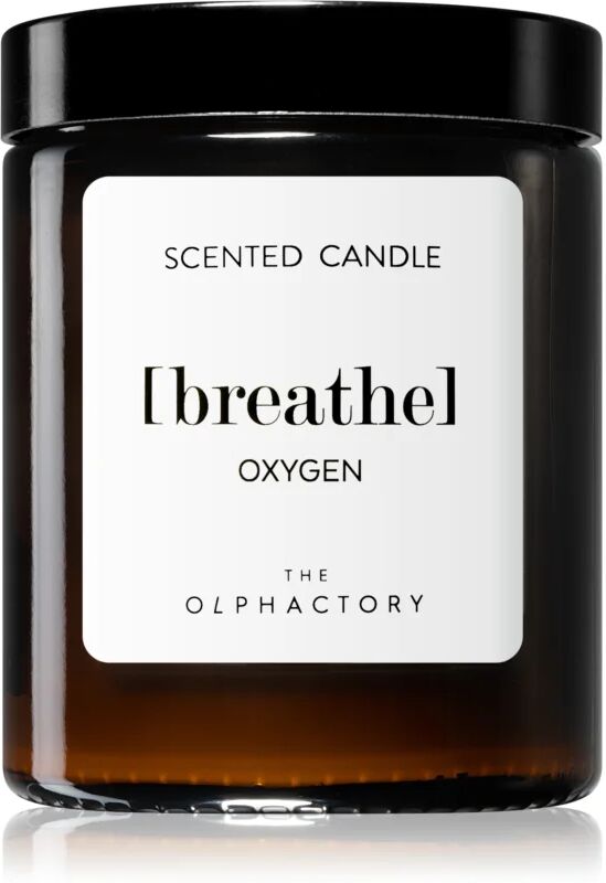 Ambientair The Olphactory Oxygen bougie parfumée (brown) Breathe 135 g