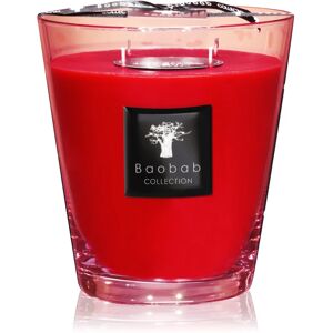 Baobab Collection All Seasons Masaai Spirit bougie parfumée 16 cm