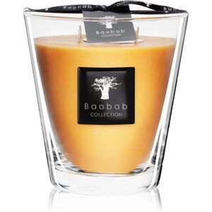 Baobab Collection All Seasons Zanzibar Spices bougie parfumée 16 cm