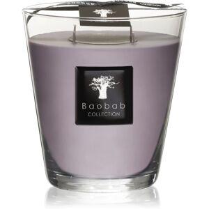 Baobab Collection All Seasons White Rhino bougie parfumée 16 cm