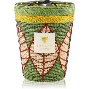 Baobab Collection Ravintsara Ravina bougie parfumée 24 cm