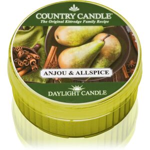 Country Candle Anjou & Allspice bougie chauffe-plat 42 g