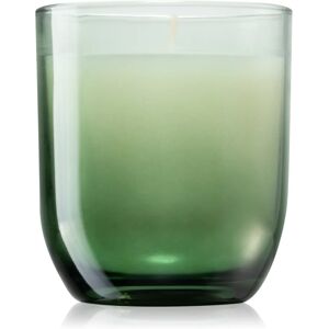 Paddywax Enneagram Achiever (Tobacco + Patchouli) bougie parfumée 141 g