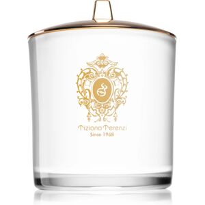 Tiziana Terenzi Lillipur bougie parfumée avec mèche en bois 900 g