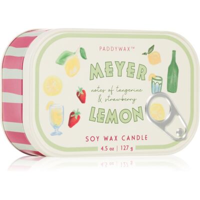 Paddywax Bistro Tin Meyer Lemon bougie parfumée en métal 127 g - Publicité Paddywax Bistro Tin Meyer Lemon bougie parfumée en métal 127 g - Publicité