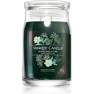 Yankee Candle Silver Sage & Pine bougie parfumée Signature 567 g - Publicité Yankee Candle Silver Sage & Pine bougie parfumée Signature 567 g - Publicité