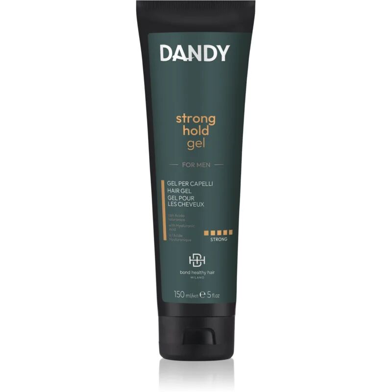 DANDY Sculpture Gel gel cheveux fixation forte 150 ml