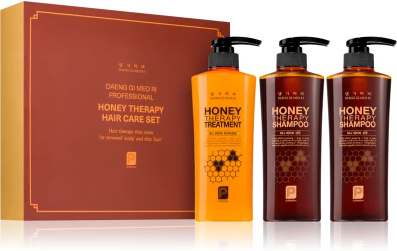 DAENG GI MEO RI Honey Therapy Professional Hair Care Set coffret cadeau (nutrition et hydratation)