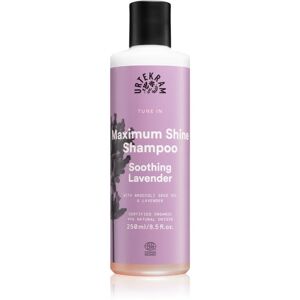 Urtekram Soothing Lavender shampoing apaisant pour des cheveux brillants et doux 250 ml