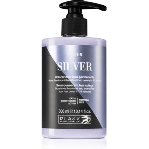 Black Professional Line Argent 300 ml - Toner pour cheveux - Publicité Black Professional Line Argent 300 ml - Toner pour cheveux - Publicité