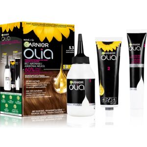 Garnier Olia Big Kit - Brun Doré - Kit de coloration capillaire - Publicité Garnier Olia Big Kit - Brun Doré - Kit de coloration capillaire - Publicité