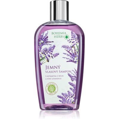 Shampoing Lavande Bohemia Herbs - Soin capillaire - Publicité Shampoing Lavande Bohemia Herbs - Soin capillaire - Publicité