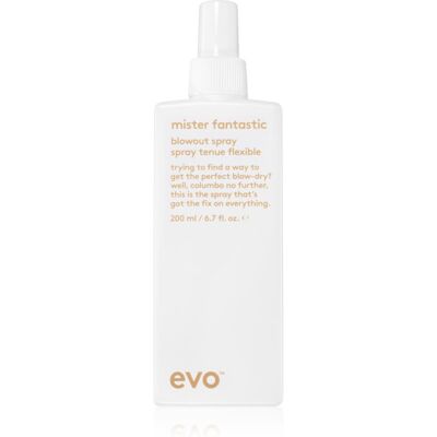 Evo Mister Fantastic Spray de séchage avec protection thermique - 200 ml - Publicité Evo Mister Fantastic Spray de séchage avec protection thermique - 200 ml - Publicité