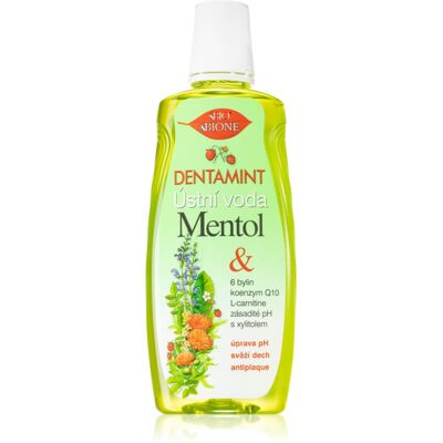 Solution buccale Dentamint Menthol - Pour hommes, femmes, unisexe - Publicité Solution buccale Dentamint Menthol - Pour hommes, femmes, unisexe - Publicité