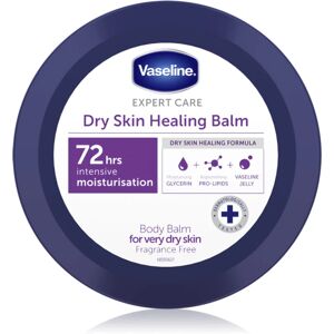 Vaseline Expert Care Dry Skin Healing Balm baume corps pour