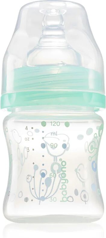 BabyOno Baby Bottle biberon anti-colique 0m+ Mint 120 ml