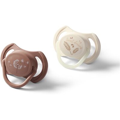 BabyOno Take Care Symmetrical Silicone Soothers tétine Day & Night 18m+ 2 pcs - Publicité BabyOno Take Care Symmetrical Silicone Soothers tétine Day & Night 18m+ 2 pcs - Publicité