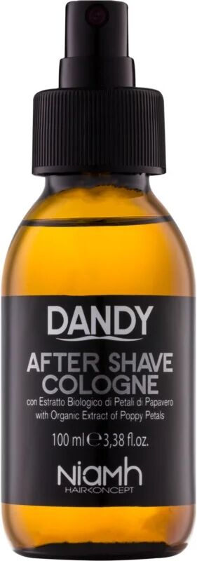 DANDY After Shave lotion après-rasage 100 ml