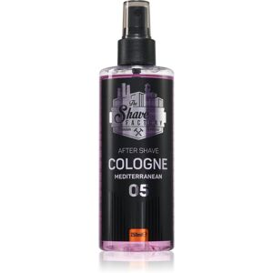 The Shave Factory - Colonia Dopobarba 05 - Aftershave - Publicité The Shave Factory - Colonia Dopobarba 05 - Aftershave - Publicité