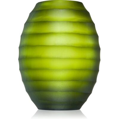 Diffuseur d'arôme ipuro Vert - 480ml - Unisexe - Publicité Diffuseur d'arôme ipuro Vert - 480ml - Unisexe - Publicité