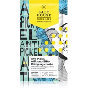 Salt House Natural Minerals Anti-pimple AHA and BHA Cleansing Mask masque purifiant 2x6 ml - Publicité Salt House Natural Minerals Anti-pimple AHA and BHA Cleansing Mask masque purifiant 2x6 ml - Publicité
