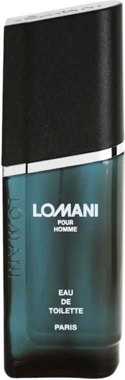 Lomani Pour Homme Eau de Toilette pour homme 100 ml