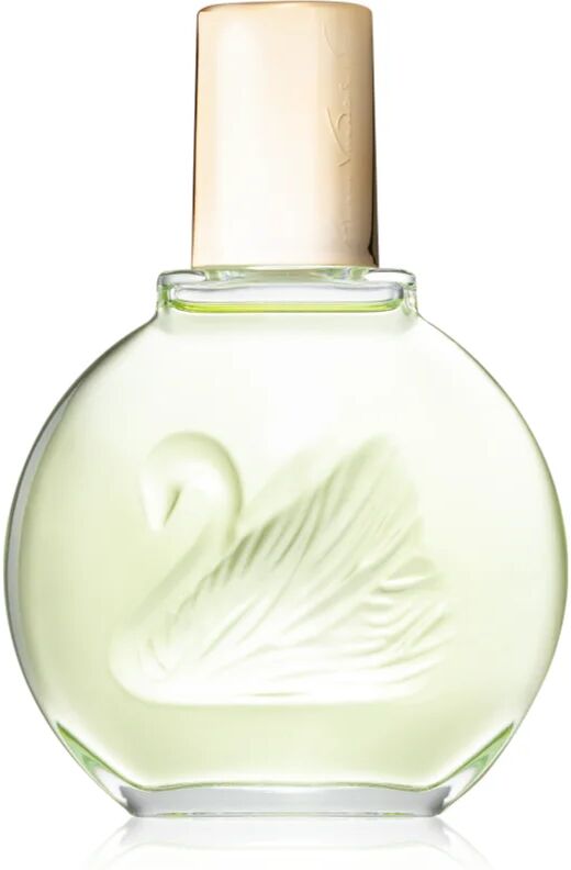 Gloria Vanderbilt Jardin a New York Eau de Parfum pour femme 100 ml