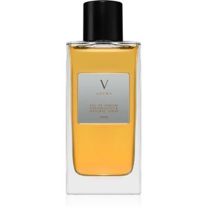 Aurora Aroma V Eau de Parfum pour homme 100 ml