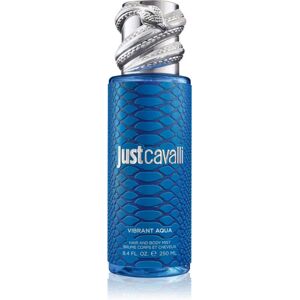 Roberto Cavalli Just Cavalli Vibrant Aqua spray corporel parfumé pour femme 250 ml - Publicité Roberto Cavalli Just Cavalli Vibrant Aqua spray corporel parfumé pour femme 250 ml - Publicité