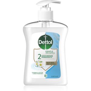 Dettol Soft on Skin Gentle Chamomile Liquide pour les mains - Savon liquide - Publicité Dettol Soft on Skin Gentle Chamomile Liquide pour les mains - Savon liquide - Publicité