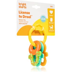 Bright Starts Teether & Rattle hochet avec anneau de dentition 3m+ 1 pcs