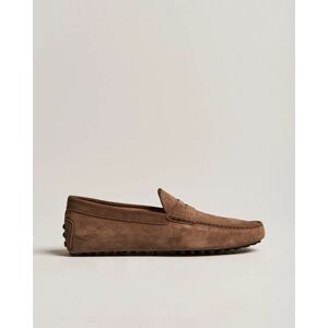 Tod's Gommino Carshoe Brown Suede