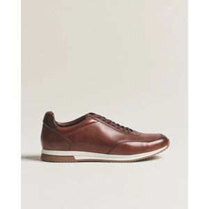 Loake 1880 Bannister Leather Running Sneaker Cedar