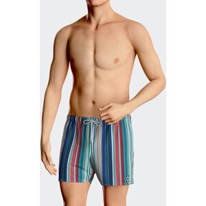 IMPETUS Short de bain a rayures VERT L homme