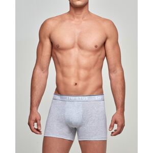 IMPETUS Boxer d´homme Bio Cotton Gris L homme