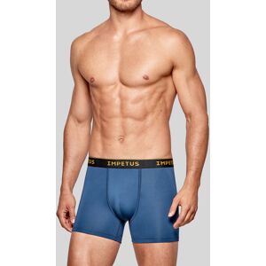 IMPETUS Boxer d´homme Voyager GRIS L homme