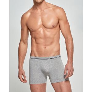 IMPETUS Boxer d´homme Cotton Seamless Gris L homme