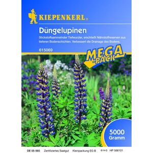 Kiepenkerl engrais vert lupins 5kg 615069