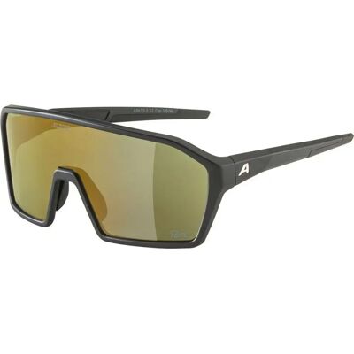 Lunettes de soleil Alpina Ram Q-Lite TU - Publicité Lunettes de soleil Alpina Ram Q-Lite TU - Publicité