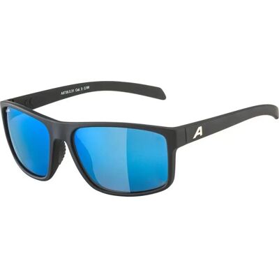 Lunettes de soleil Alpina Nacan I P TU - Publicité Lunettes de soleil Alpina Nacan I P TU - Publicité