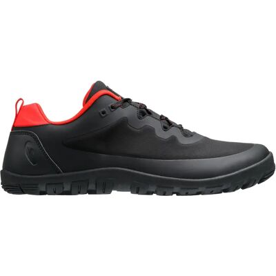 Chaussures de randonnée Freet Connect 4 40 - Publicité Chaussures de randonnée Freet Connect 4 40 - Publicité