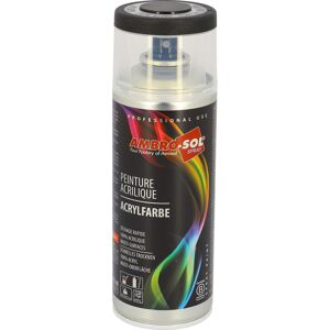 Spray peinture Ambro-Sol ral 9005 noir satine 400ml